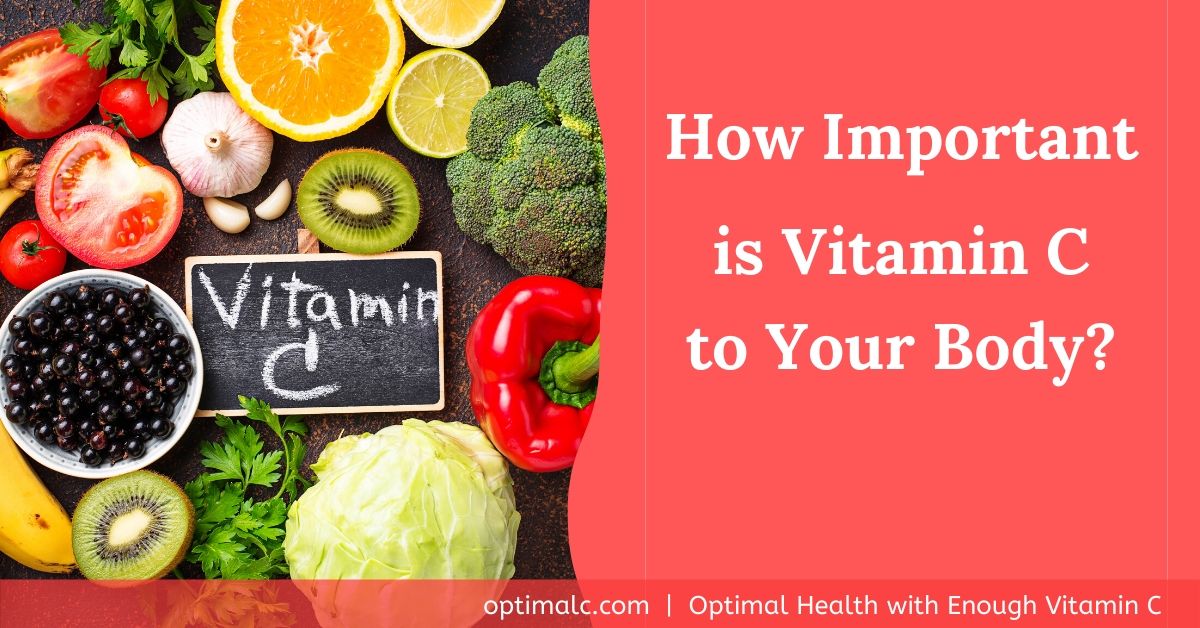 The importance of vitamin C to the body is crucial since it’s involved in many vital processes to help you fight chronic disease, stay healthy and delay aging
