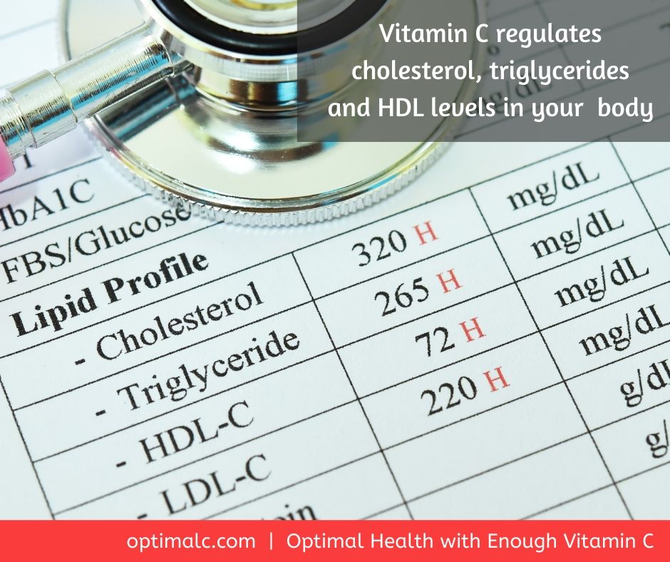 Vitamin C Regulates Cholesterol, Triglycerides and HDL Levels