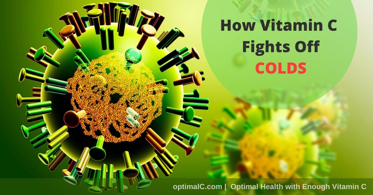 Our family uses enough vitamin C to fight off colds. But vitamin C and colds protection is not new. Here’s how vitamin C helps your body stay healthy